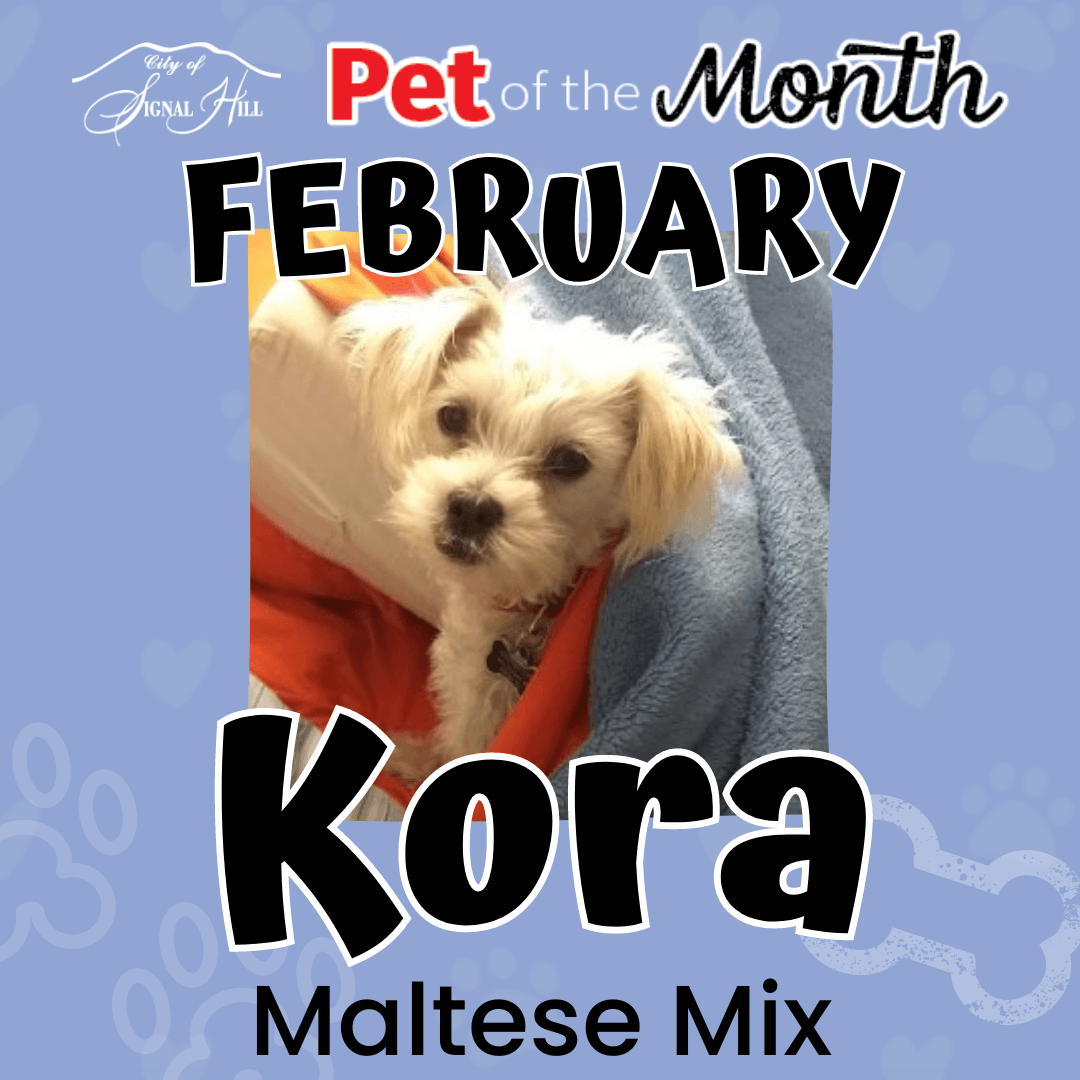 February 2022 Pet of the Month