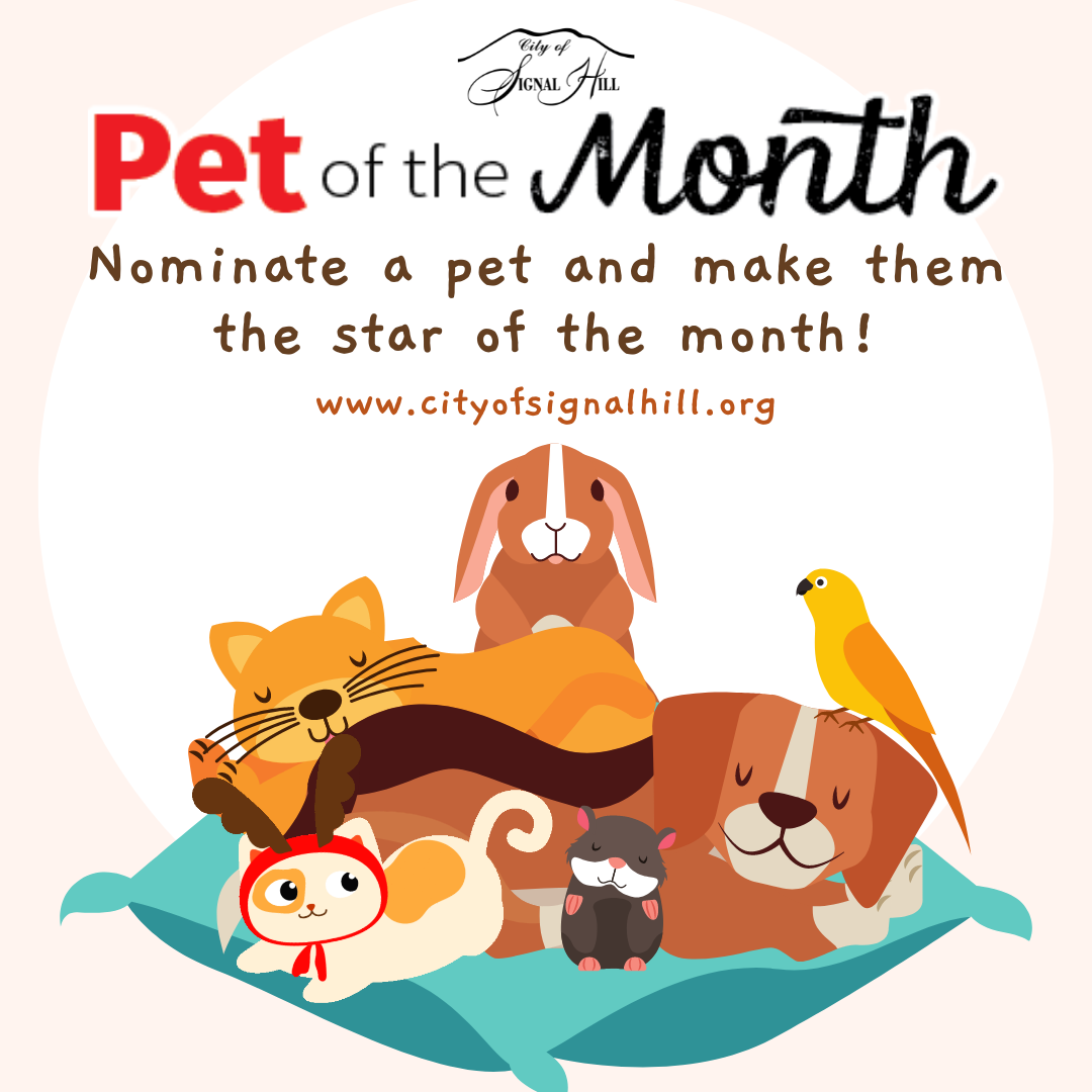 Pet of the Month