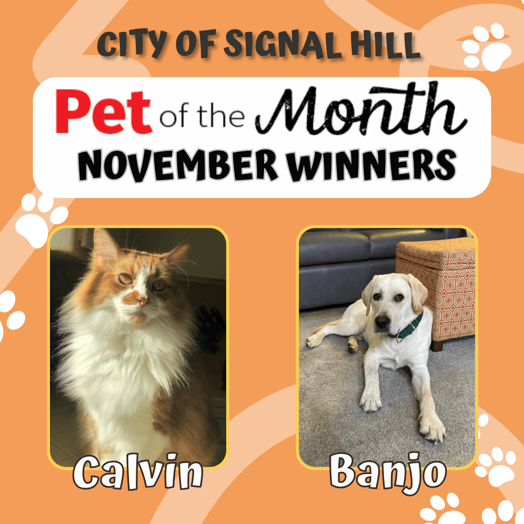 Pet of the Month - November