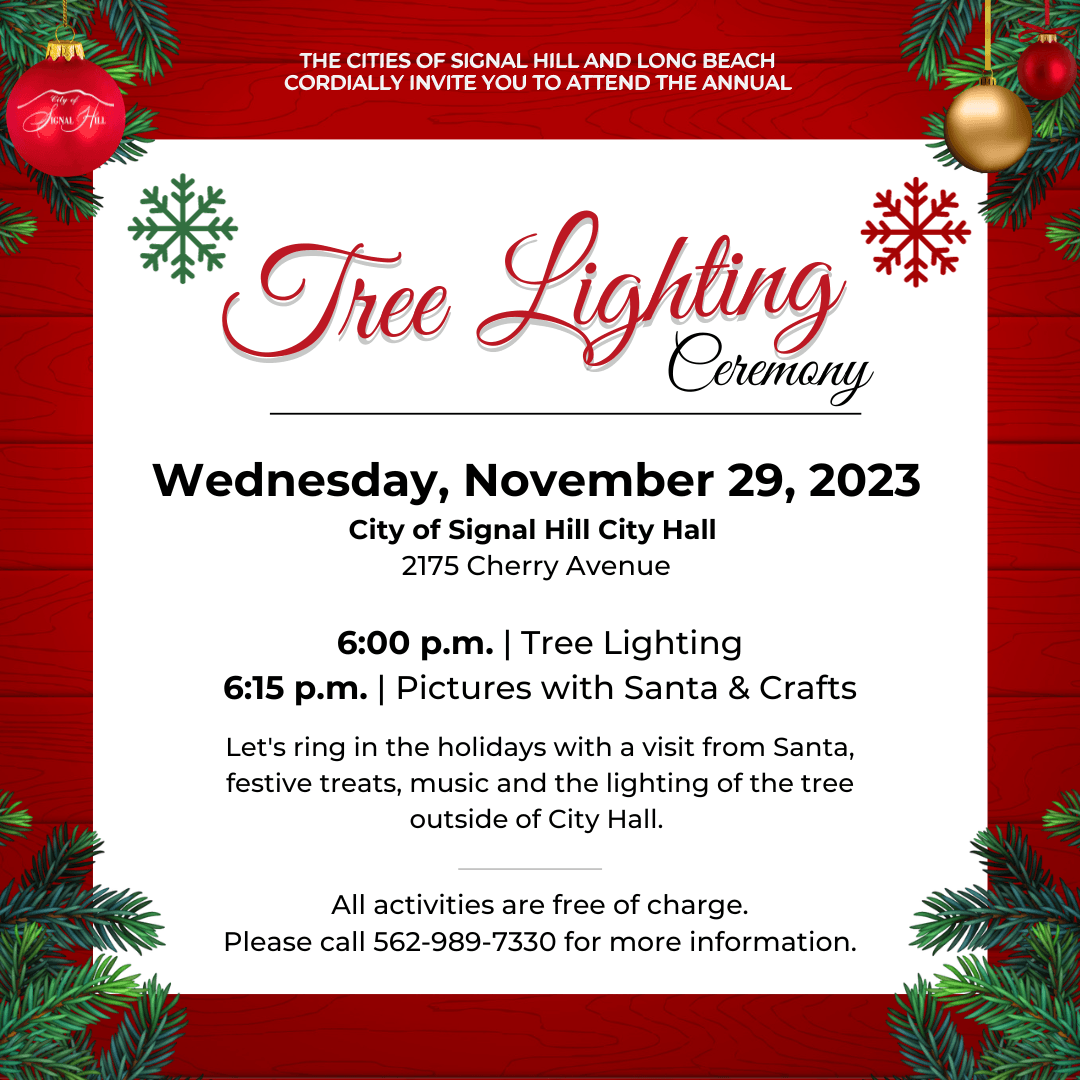 Tree Lighting