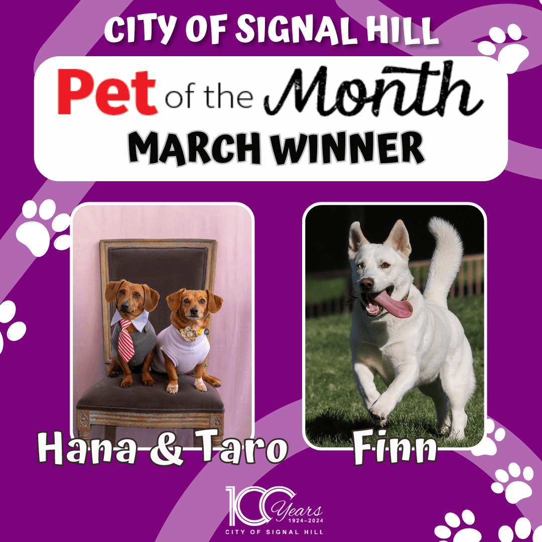 Pet of the Month - March