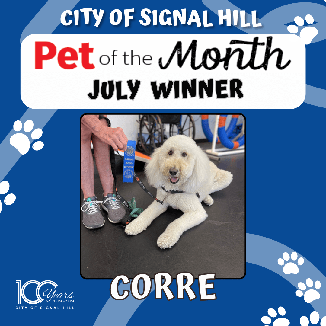 Pet of the Month - July