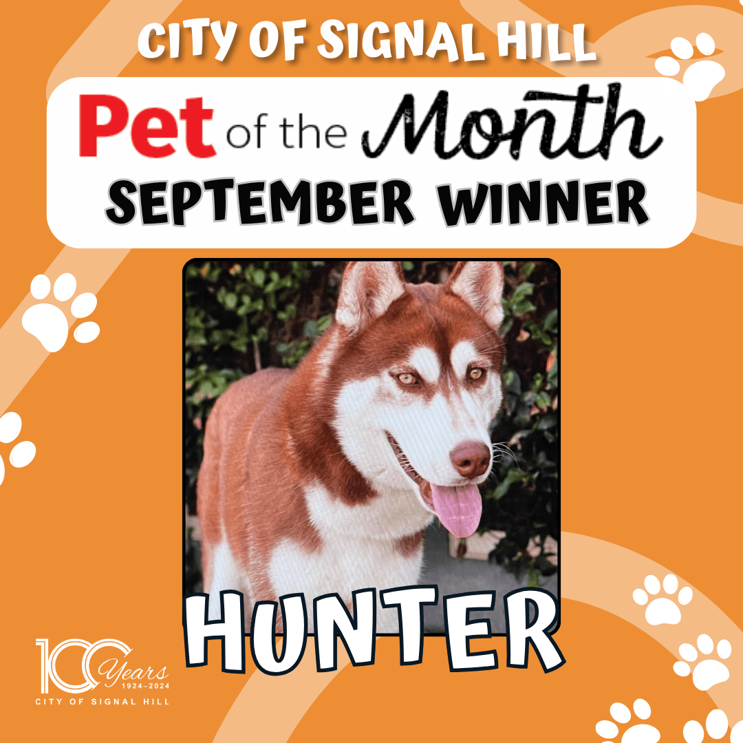 Pet of the Month - September