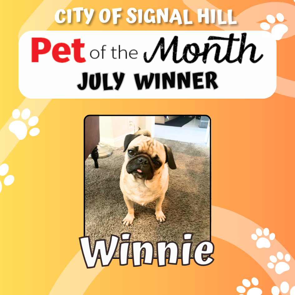 Pet of the Month - July 2025 (1)