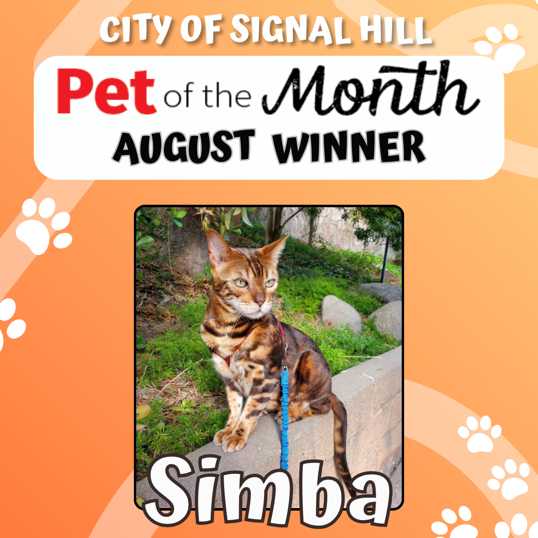 Pet of the Month - August 2025