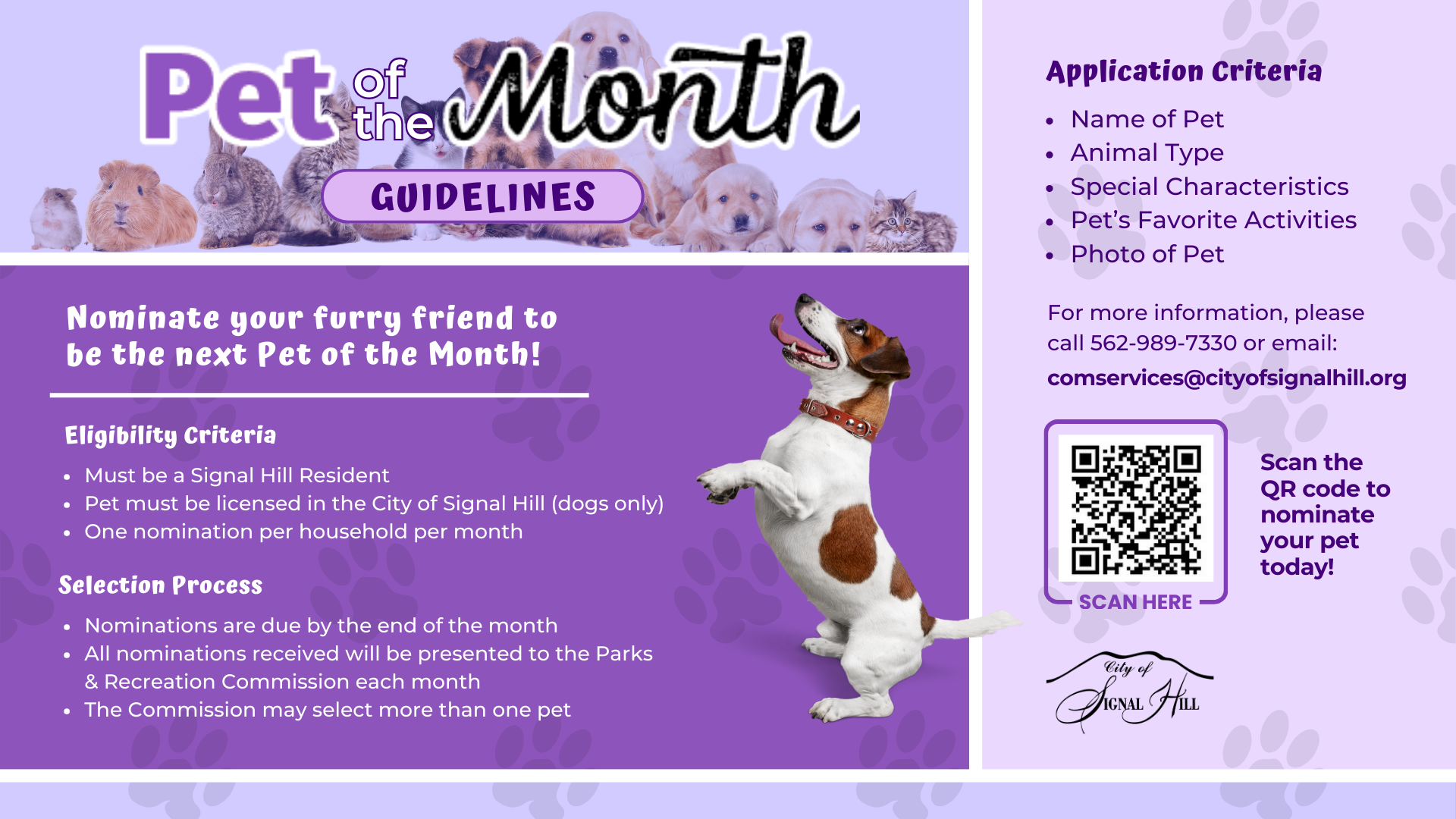 27 - Pet of the Month Guidelines