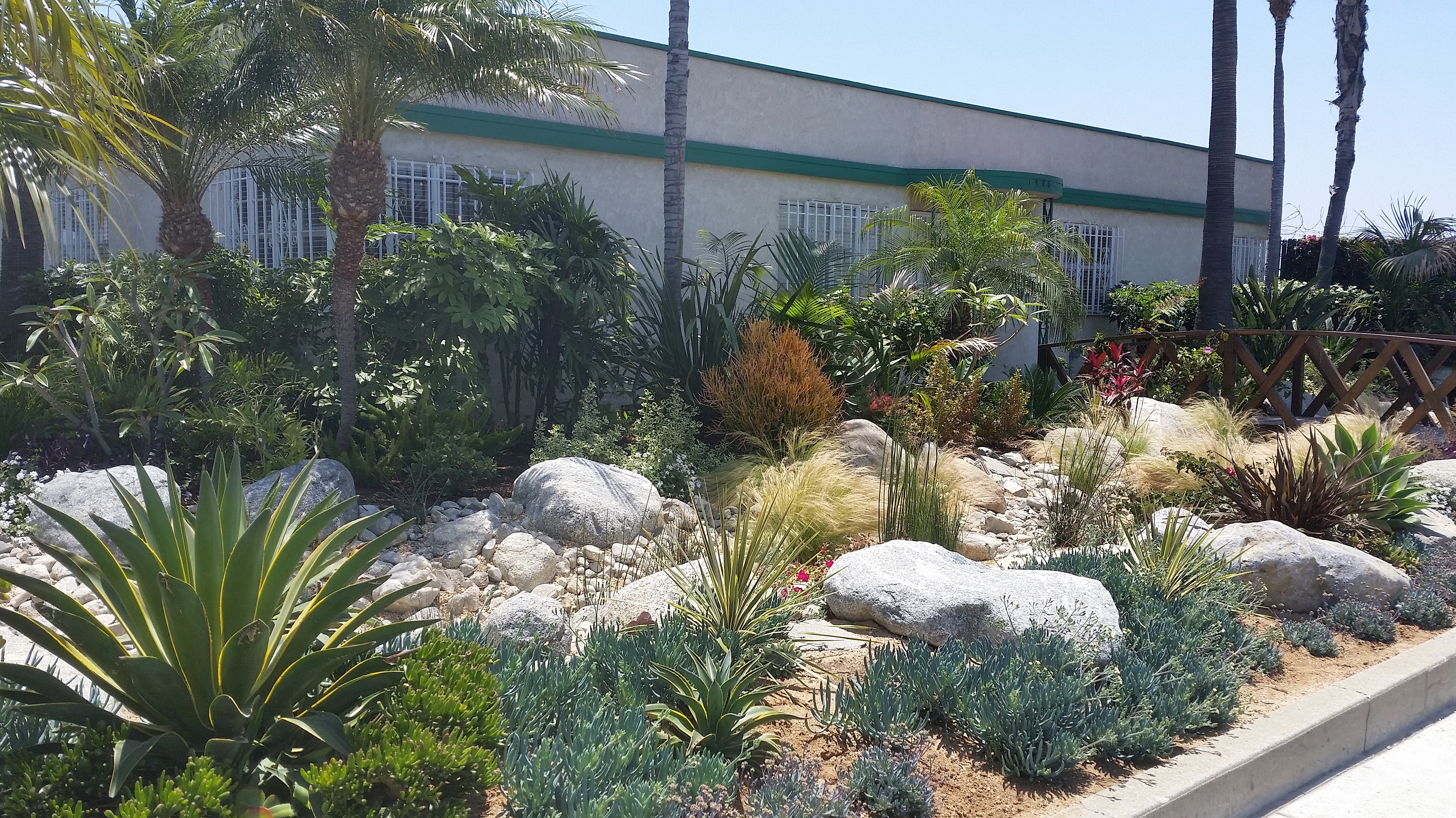 Xeric garden with rocks and plats beside a building
