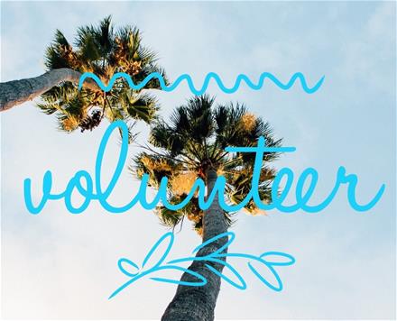 Volunteer text with two palm trees